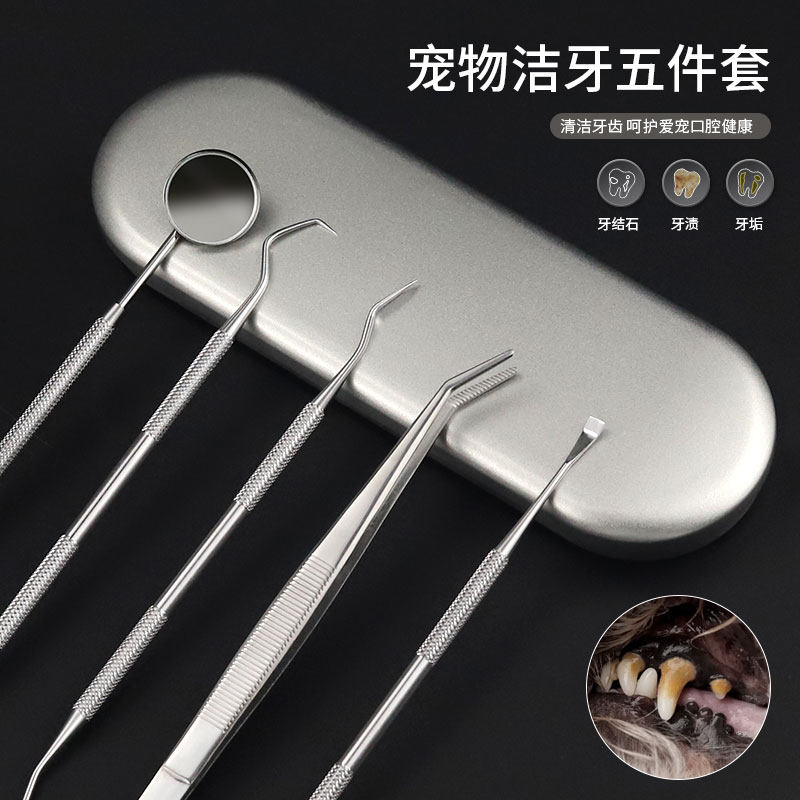 宠物洁牙五件套猫咪狗狗牙齿清洁工具去牙结石牙垢口腔护理套装