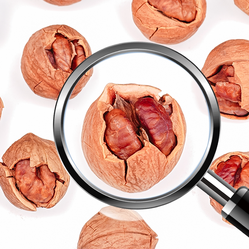 核小七正宗临安山核桃2025年新货小核桃好剥手剥胡桃特产坚果炒货