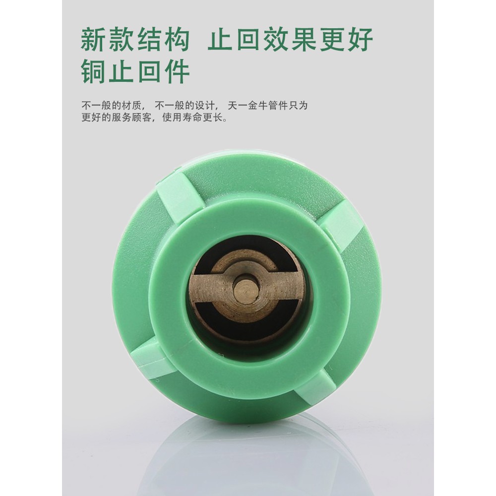 天一 金牛202532PPR止回阀单向阀逆止阀4分1寸PPR水管管件配件