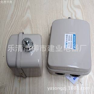 LX44-10 LX44-20 LX44-40 电动葫芦断火限位器 行程开关