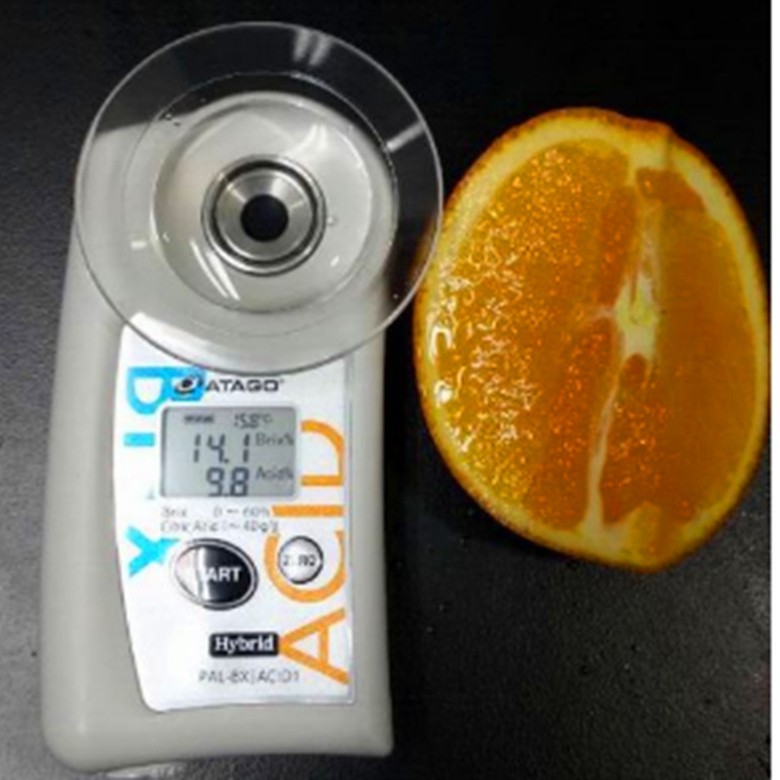糖酸度计柑橘葡萄汁&葡萄酒香蕉蓝莓奇异果苹果菠萝折射仪