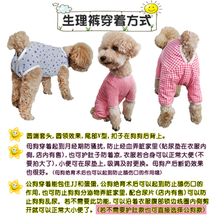 母狗狗连体生理裤姨妈裤r防骚扰防乱尿四脚红条纹衣断奶服防舔纯