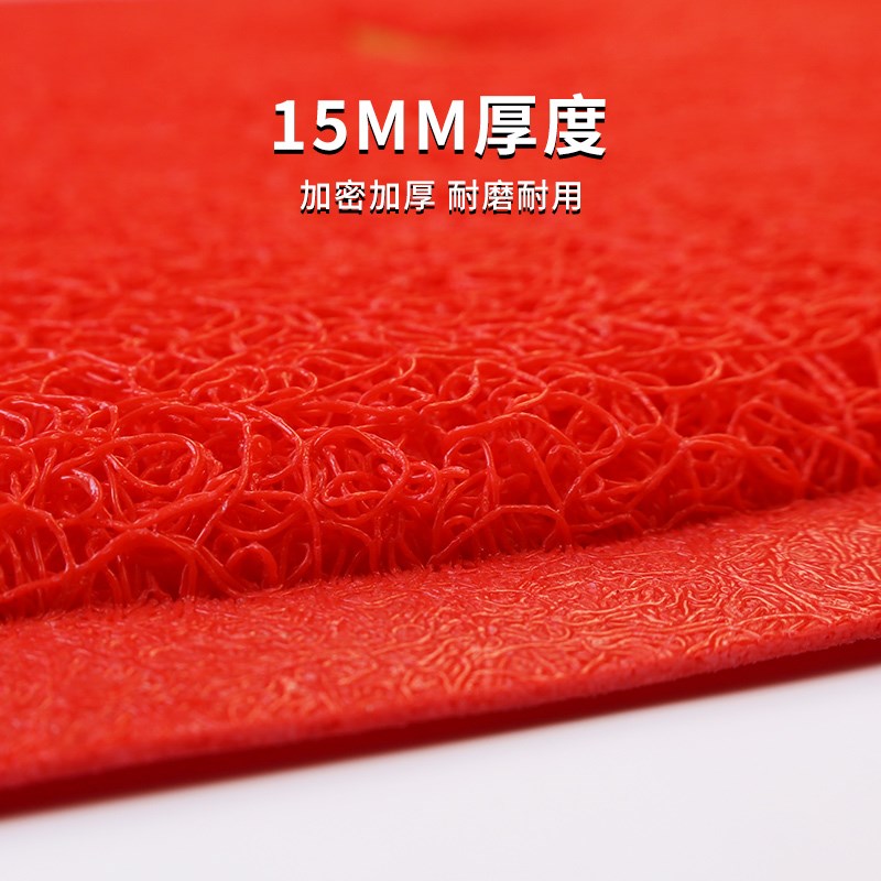 出入平安门垫入户门地垫进门大门口丝圈脚垫门外玄V关进户除尘地