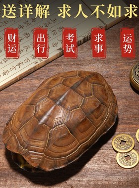 天然乌龟壳文玩六爻摇卦工具真龟甲乾隆J铜钱六十四卜算卦用品摆