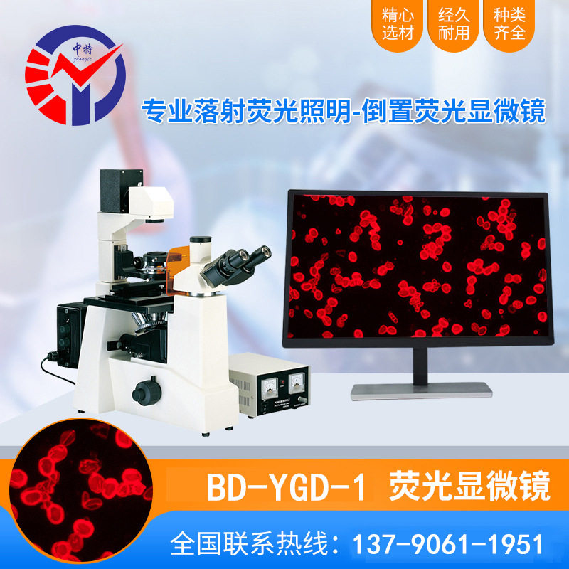 中特BD-YGD-1倒置荧光显微镜 40~1000X明场数码成像生物显微镜