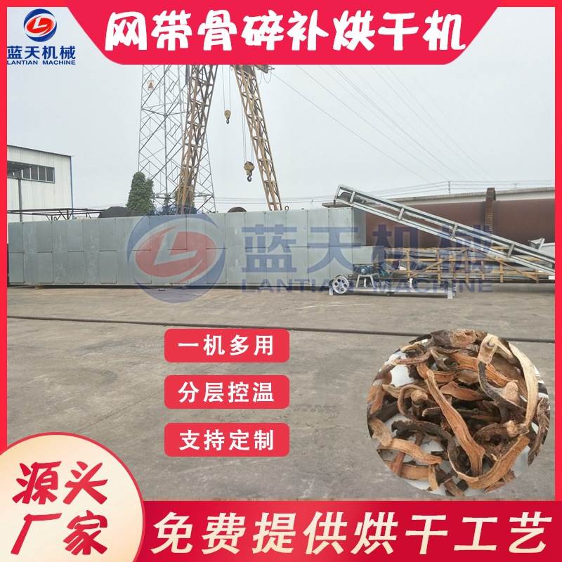 多层网带式骨碎补烘干机 全自动崖姜岩连姜干燥机 爬岩姜烘干设备