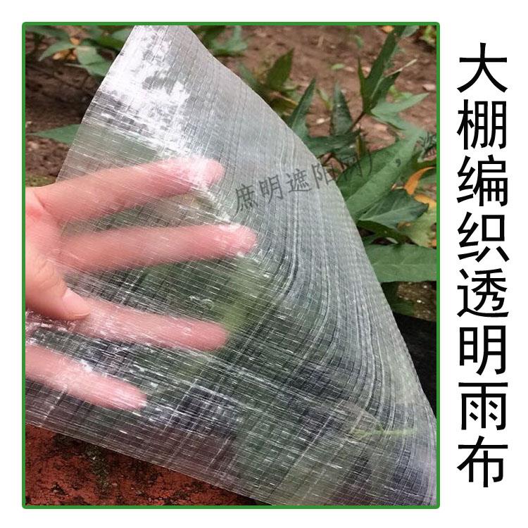 防老化透明遮阳布彩条布防雨布防水布大棚膜塑料布雨棚布养殖围边
