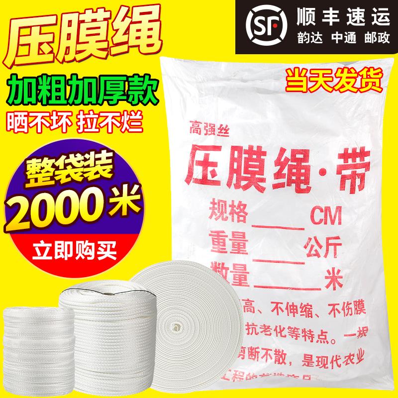 大棚压膜带压膜绳压膜线白色抗老化温室配件专用加厚高强度涤纶丝