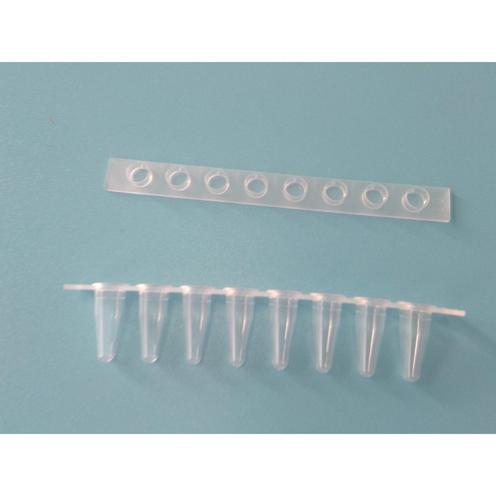 0.1mlpcr八连排管8连管实验室耗材无酶8连排尖底离心管