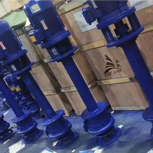 YW双管铸铁液下排污泵 大口径小口径单双管液下泵 液下长度2米