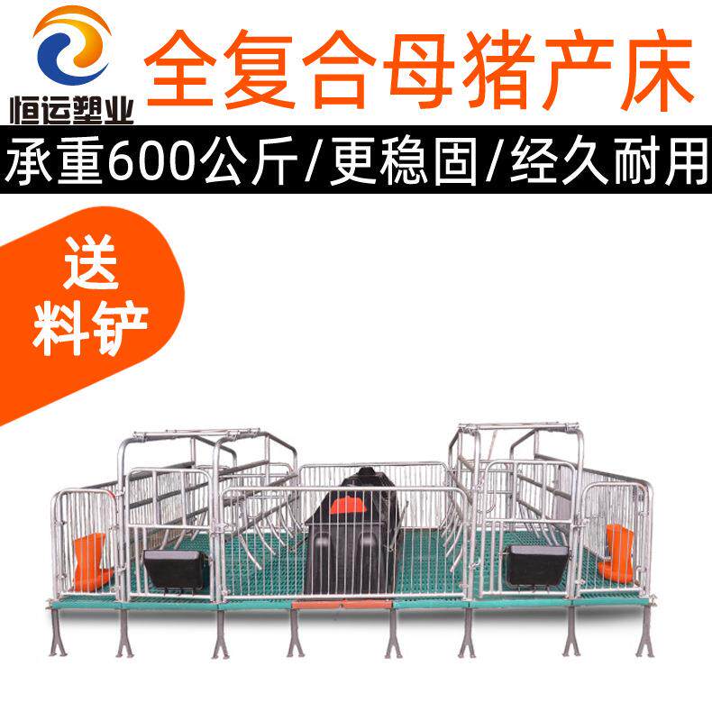 复合两用母猪产床复合漏粪板母猪双体产床母猪产床保育床两用产床
