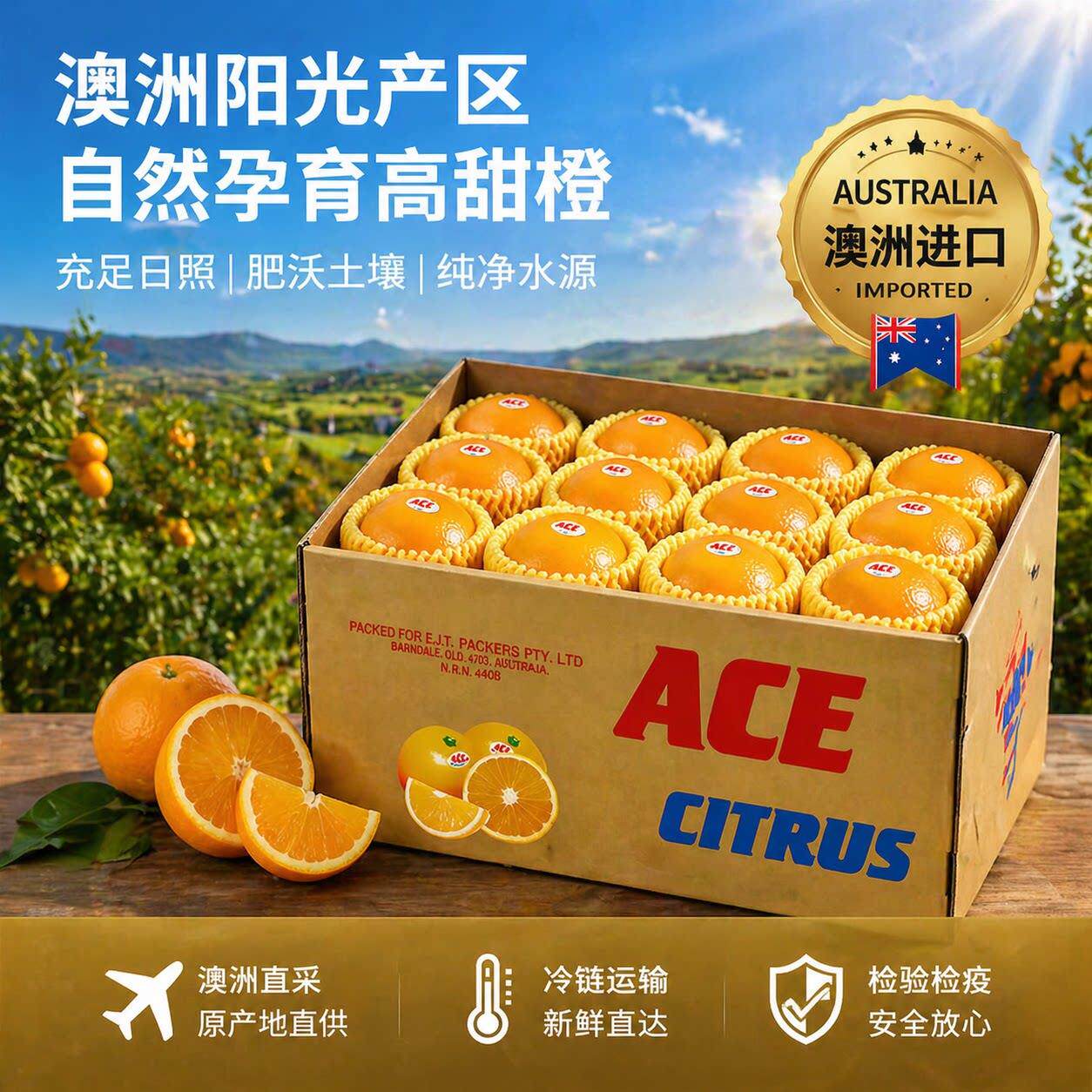 澳洲ACE进口橙 新鲜当季脐橙 水果甜橙手剥橙中秋水果礼盒