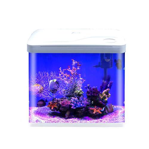 热弯鱼缸水族箱一体成型桌面高清带盖玻璃鱼缸家用生态造景鱼缸