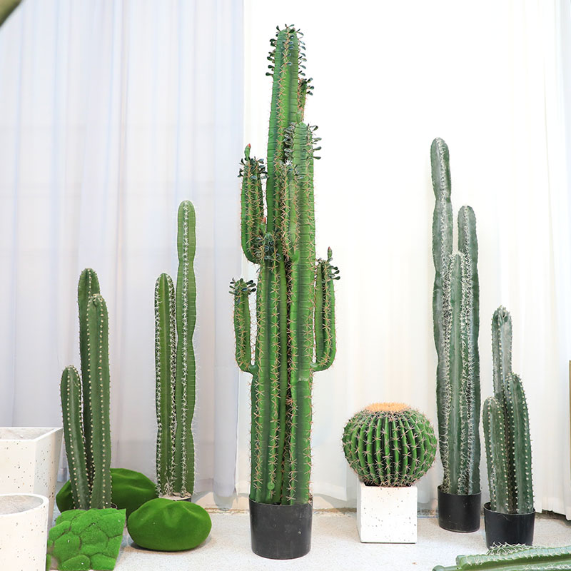 仿真仙人柱植物 北欧假仙人掌 ins绿植装饰 橱窗别墅大型盆景搭配