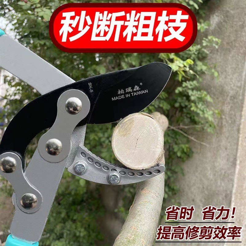 粗枝剪果树树枝修枝剪伸缩强力省力大力剪高枝剪园艺园林大剪刀