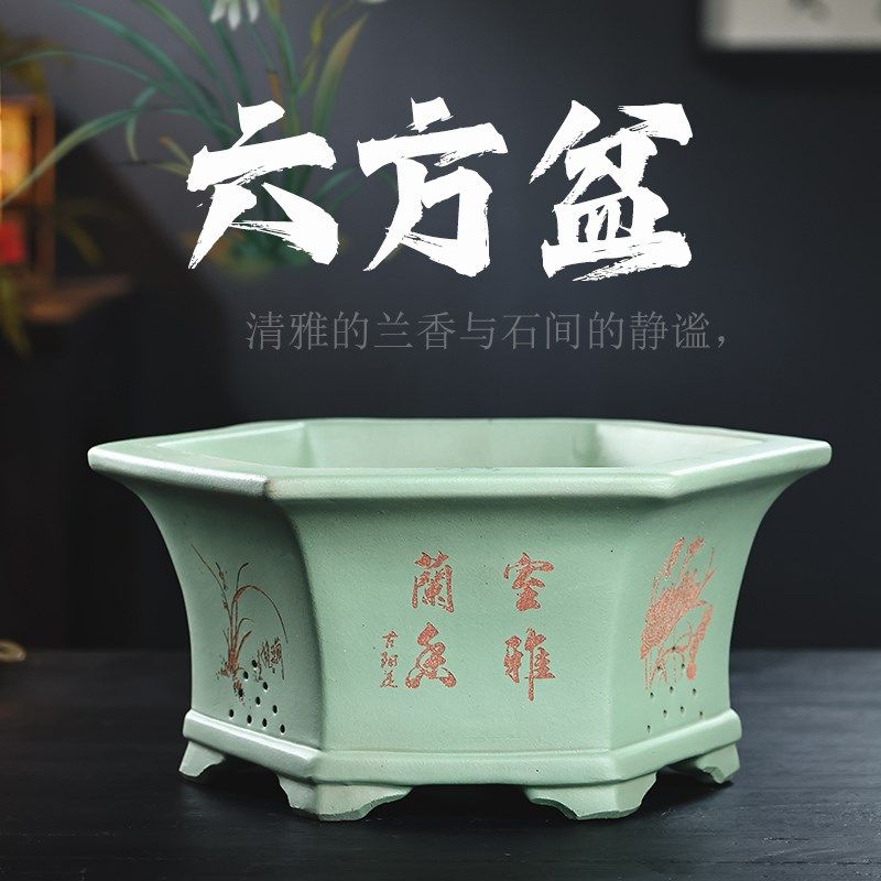 宜兴紫砂陶瓷兰花盆吊兰盆栽老桩种树金弹子六方手工大号矮盆景盆