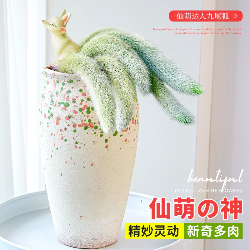 九尾狐多肉植物全套带摆件专用花盆高端室内盆栽长白软毛精品绿植