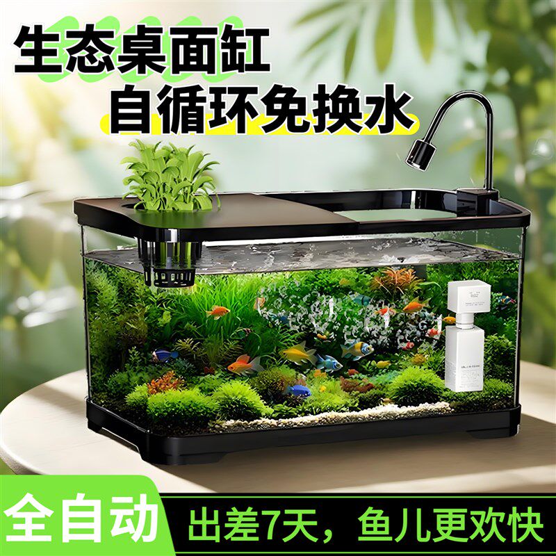 鱼缸小型客厅过滤制氧一体机生态缸造景摆件全套金鱼海缸乌龟缸图片