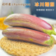 初柠柔云南西双版 纳冰川糯茄子新鲜蔬菜当季 整箱竹丝茄酒店餐厅