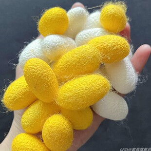 天然可抽丝完整蚕茧白金色蚕丝扇配件DIY材料抽丝剥茧桑蚕丝茧子