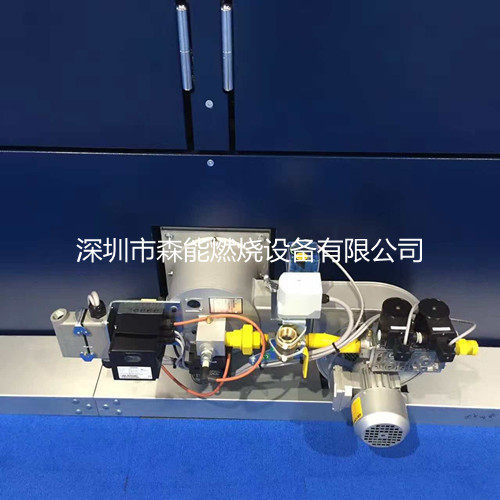 Maxon麦克森NPLE燃烧机节