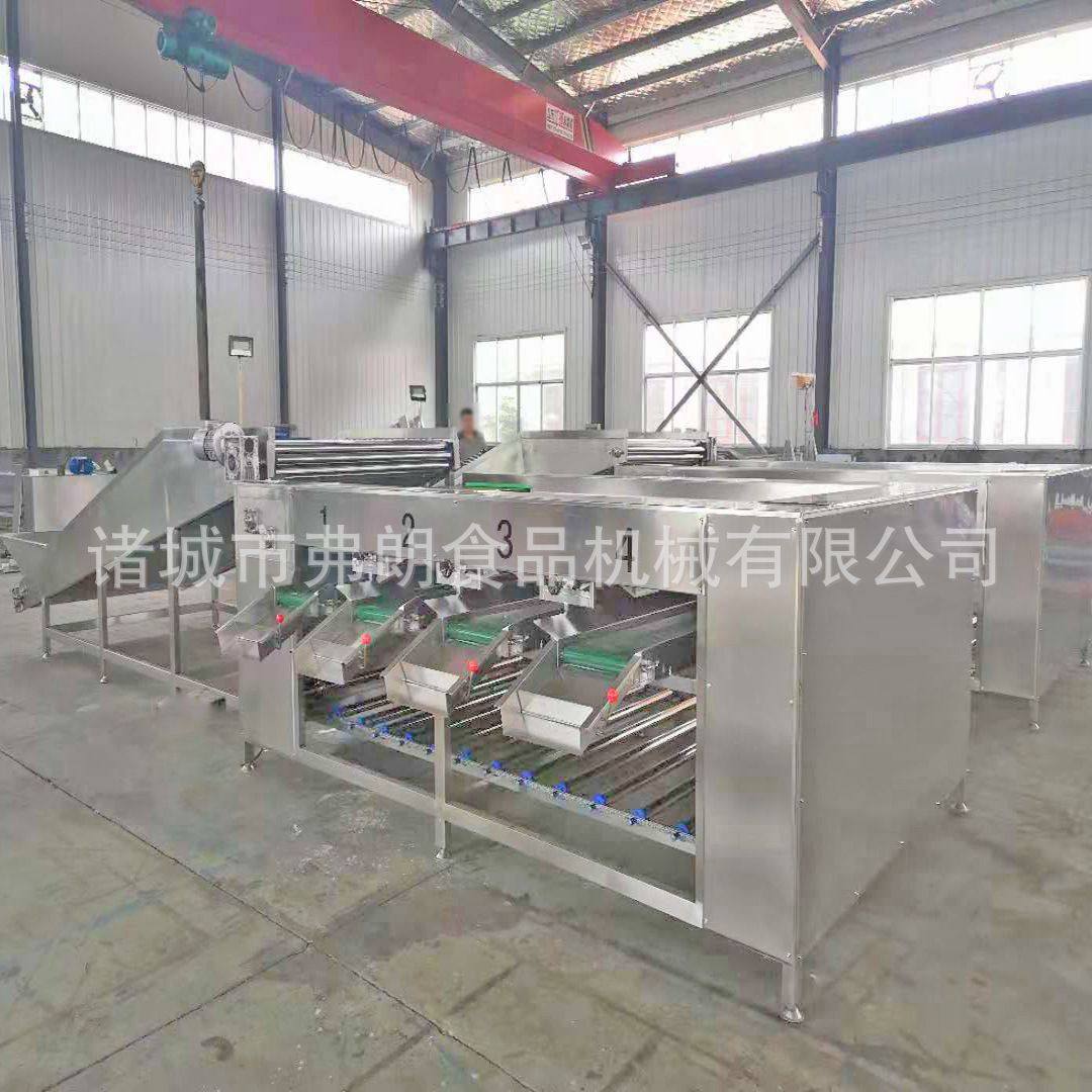 板栗南瓜挑选分级机 瓜果农产品大小分级机现货 拇指小黄瓜分级机,清洗/食品/商业设备,果蔬加工设备,淘宝优惠券,粉丝福利购,淘宝优惠卷
