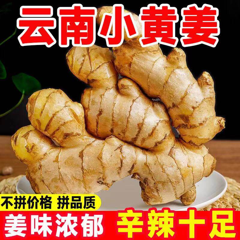 云南正宗小黄姜老姜母新鲜
