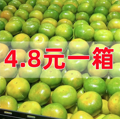 云南无籽蜜桔橘子蜜橘新鲜当季