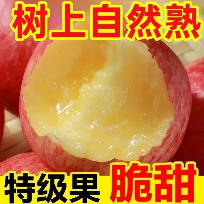 正宗陕西洛川苹果水果新鲜当季整