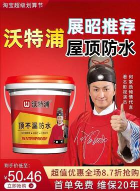 沃特浦防水涂料旗舰店平房顶房屋楼顶屋顶防水补漏材料漏水维修胶