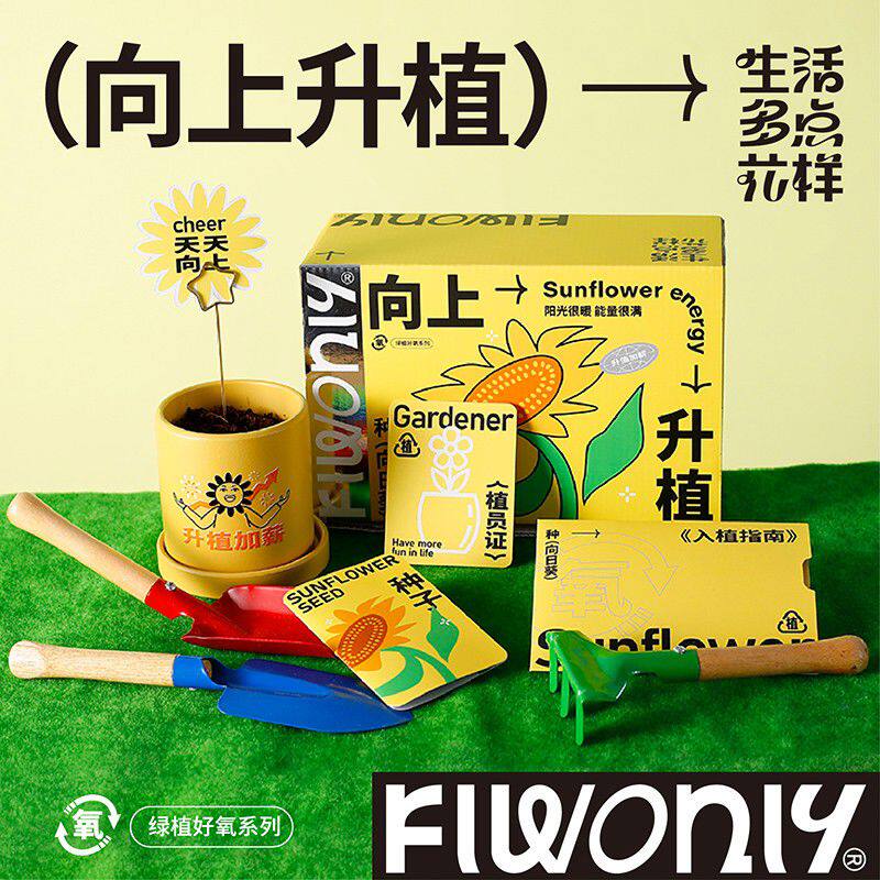 生日礼物男女生朋友闺蜜创意实用种快乐向日葵办公室入职伴手