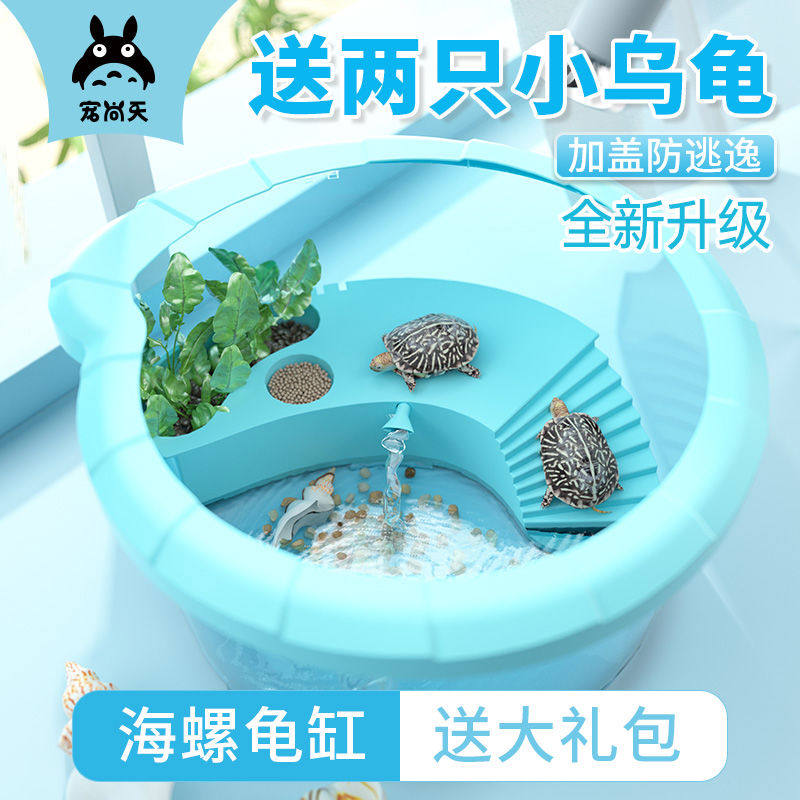 宠尚天乌龟缸送2只小乌龟活体活物草龟巴西龟鳄龟观赏龟宠物