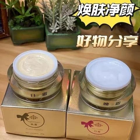 纯中药植物精华美颜霜二件套盒日晚霜祛斑去黄亮肤祛痘去印