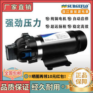 160S超高压力自吸泵110v 220v加压喷雾机器纯净水设备增压