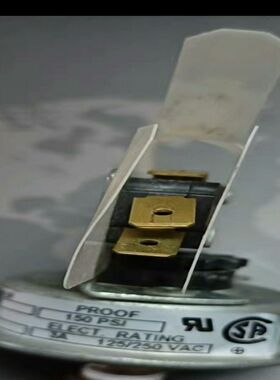 Barksdale  巴士德压力开关MSPS-FF100SS【卡奥电子】