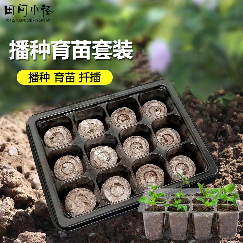 育苗块穴盘家庭育苗盒营养钵多肉蔬菜播种扦插育苗盆基质保温