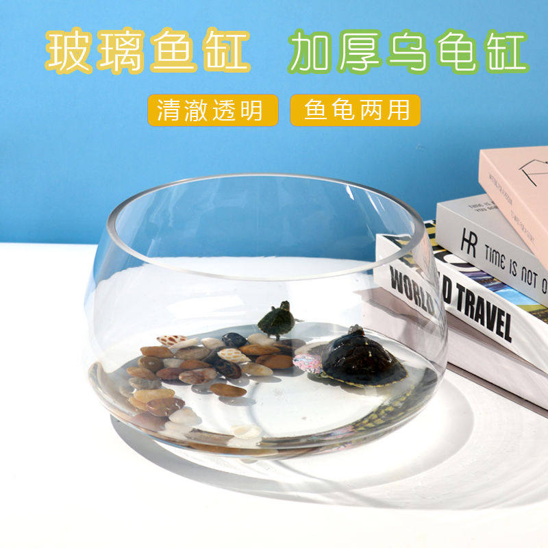 金鱼缸玻璃圆形办公桌客厅水培家用小鱼缸透明小型迷你造景乌