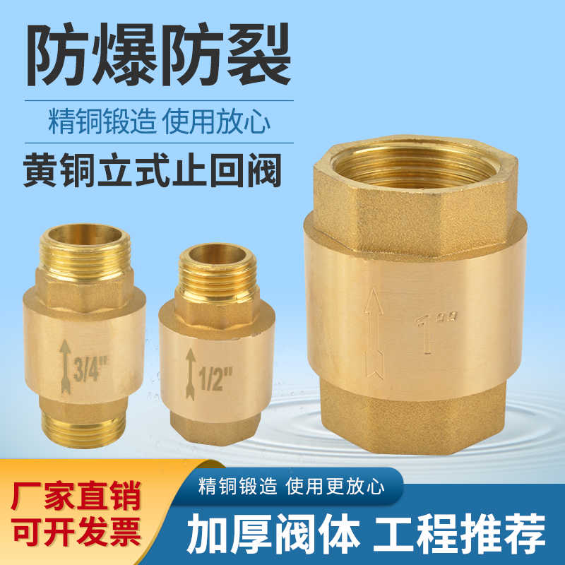 黄铜止回阀弹簧立式单向阀水管水表阀门4分6分1寸水内外丝止