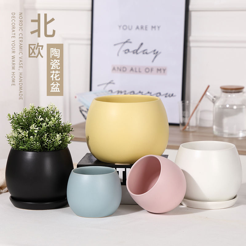 ins陶瓷花盆带托盘马卡龙颜色简约球形哑光灰色白色绿萝多肉