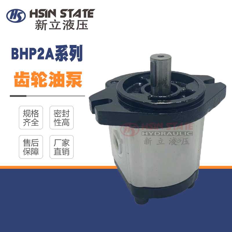 齿轮泵BHP2A0D16C0L1/D1O/D12/D14/D18/D20/D22/D25/D28/D30C0