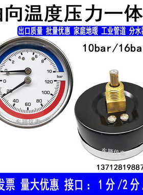 轴向温度压力一体表WY-60Z地暖分水器水压表气压10bar120℃双