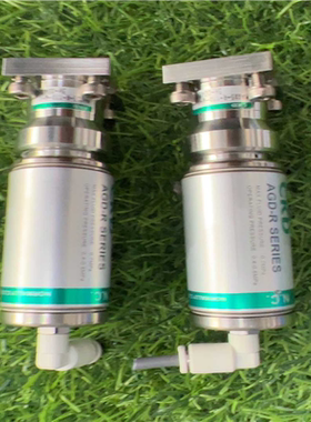 CKDMAGD5-R-11D-W-1询价