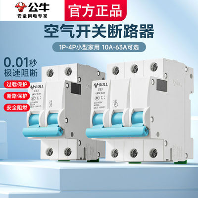 空气开关1p2p3p空开家用小型断路器40保护63a漏电闸三相32安