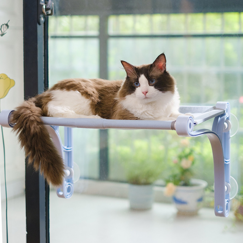 猫咪吊床窗户窗台玻璃吸盘悬挂式猫窝阳台秋千猫咪笼子晒器