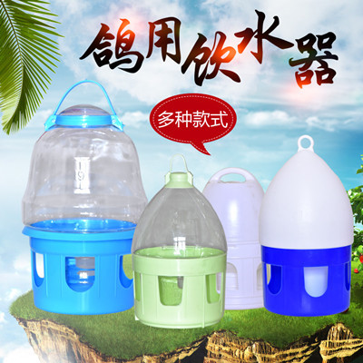 鸽子饮水器自动喝水壶信鸽用用具赛鸽水槽鸟用壶站架鸡食槽草窝