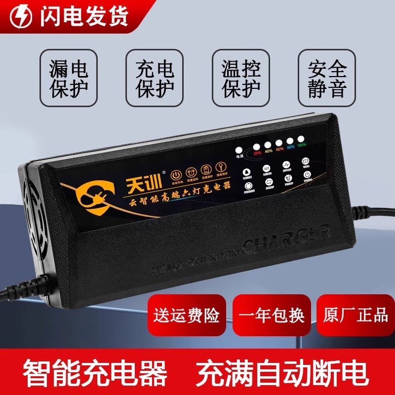 智能自动断电电动车电瓶车充电器48V60V72V12AH20AH铅酸两轮