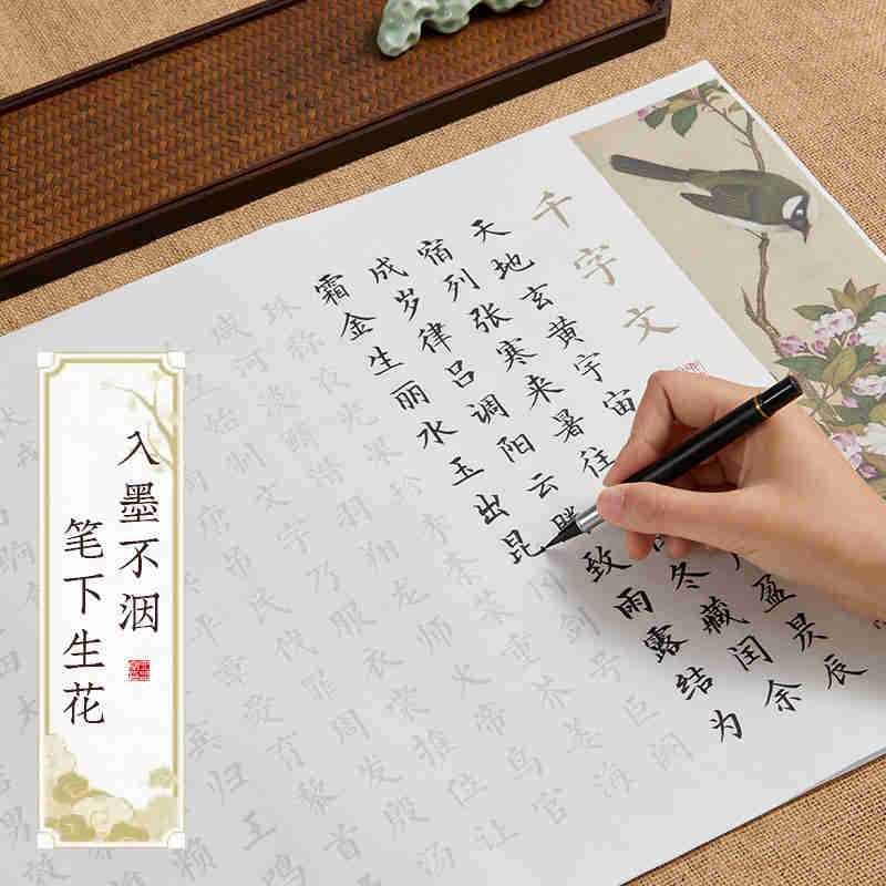 彩宣小楷书法临摹字帖毛笔字帖初学者入门套装书法练字帖成人静心