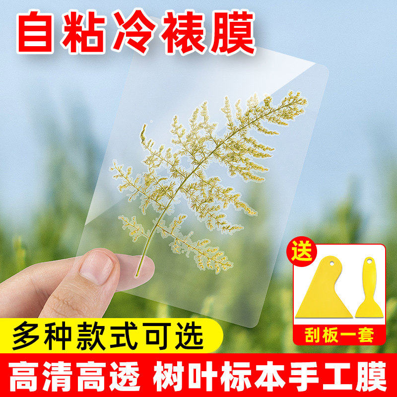冷裱膜照片相片保护膜自粘过塑膜镭射A6本贴膜贴膜自封树叶高光