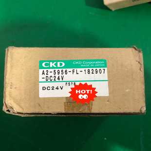DC24V 5956 182907 询价 CKD