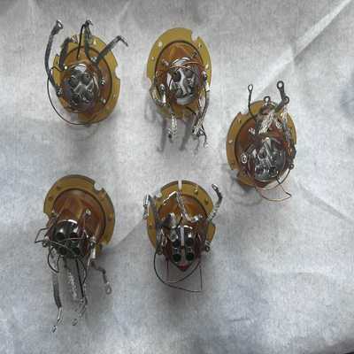 议~AB SCIEX 三重四极杆液质联用仪，质谱仪，配件货号CR